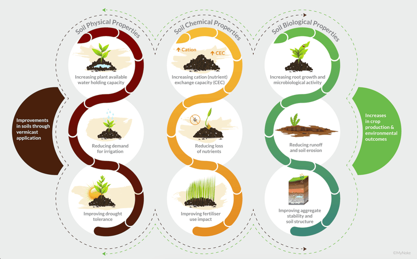 MyNoke Soil Improvement Diagram Sept 2024_for web